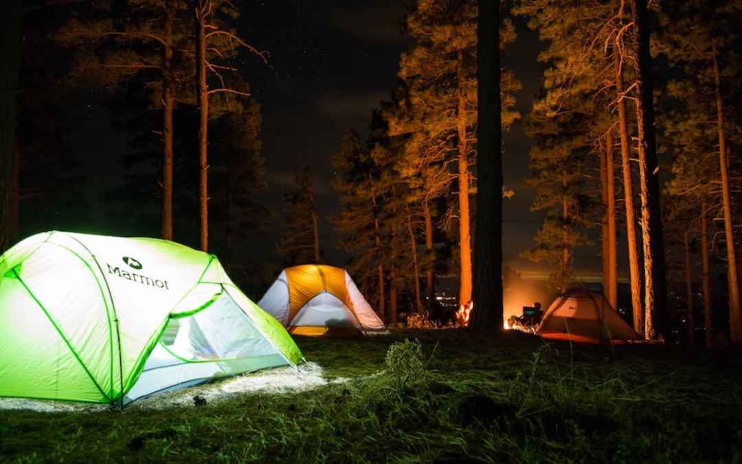 6 Things to Pack on a Camping Trip